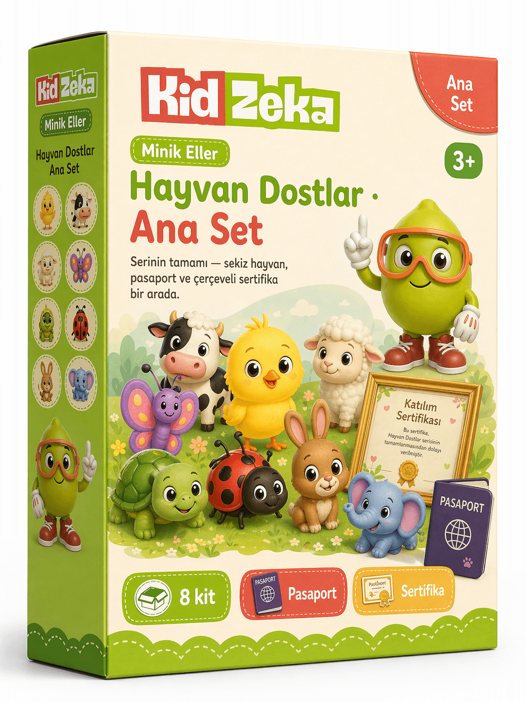 Hareket Başlangıç Seti